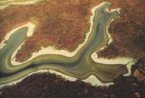 australie parc national kakadu2.jpg (144475 octets)