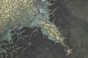 camargue -terre dessche2.jpg (118111 octets)