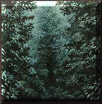 foret26.jpg (21147 octets)