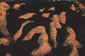 kimberley australie2.jpg (103498 octets)