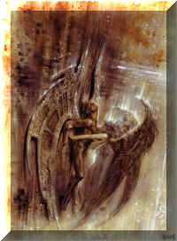 roy amour d'anges.jpg (176771 octets)